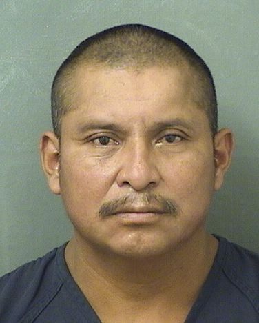 LORENO DELORENZOBARTOLO Photos For  LORENO DELORENZOBARTOLO  LORENO DELORENZOBARTOLO Photo For  LORENO DELORENZOBARTOLO