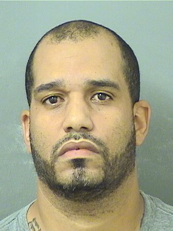  MAURICIO JULIO ORBETAHERNANDEZ Resultados de la busqueda para Palm Beach County Florida para  MAURICIO JULIO ORBETAHERNANDEZ