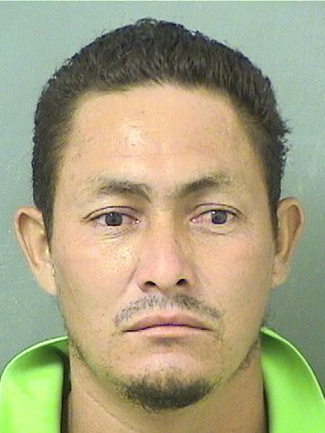  JHONY FILANDER LAGOSPINTO Results from Palm Beach County Florida for  JHONY FILANDER LAGOSPINTO