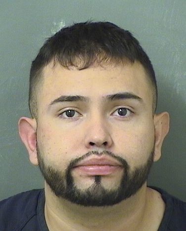  DIEGO ESTEBAN VILLAMIZARVARGAS Results from Palm Beach County Florida for  DIEGO ESTEBAN VILLAMIZARVARGAS