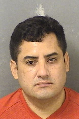  JUAN CARLOS TORRESDIAZ Results from Palm Beach County Florida for  JUAN CARLOS TORRESDIAZ