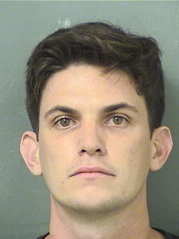  MICHAEL JAMES COSTANZA Results from Palm Beach County Florida for  MICHAEL JAMES COSTANZA