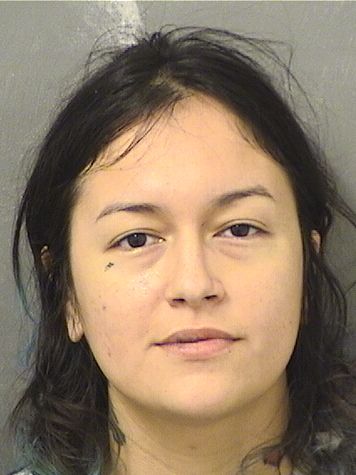  MELISSA CRISTINA TOLEDO Results from Palm Beach County Florida for  MELISSA CRISTINA TOLEDO
