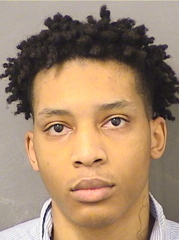  ROBERT NERO Results from Palm Beach County Florida for  ROBERT NERO