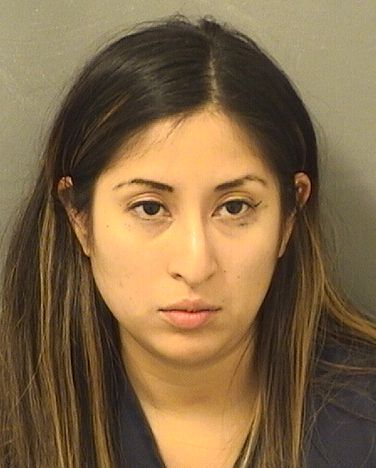  DIANA CRISTINA ALVARADO Results from Palm Beach County Florida for  DIANA CRISTINA ALVARADO