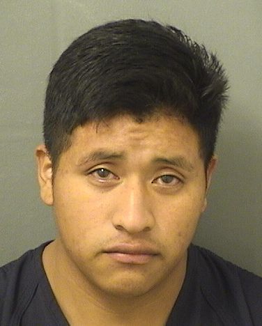  KEYNI VICENTE VASQUEZVELASQUEZ Results from Palm Beach County Florida for  KEYNI VICENTE VASQUEZVELASQUEZ