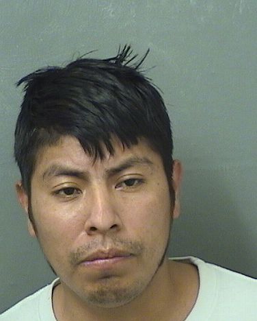  FREDY VAZQUEZGARCIA Results from Palm Beach County Florida for  FREDY VAZQUEZGARCIA