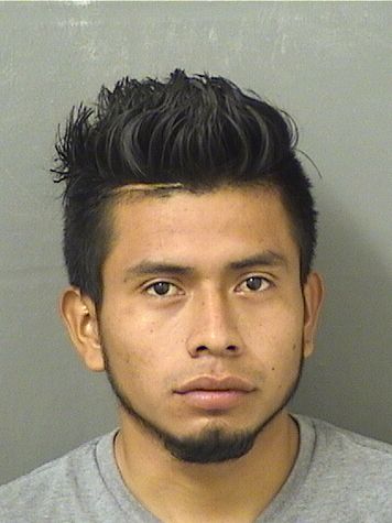  SECUNDINO PASTORHERNANDEZ Results from Palm Beach County Florida for  SECUNDINO PASTORHERNANDEZ