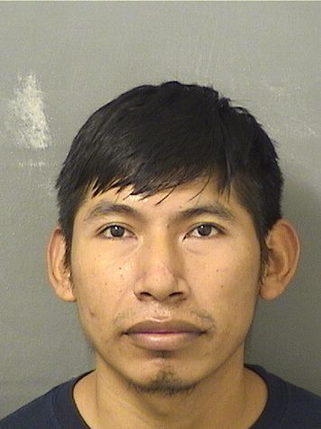  MARTIN TOMAS Resultados de la busqueda para Palm Beach County Florida para  MARTIN TOMAS