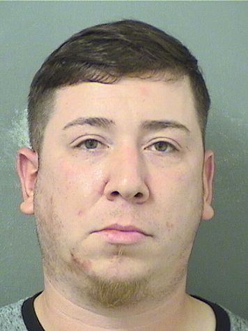  MICHAEL ANGELO BORRERO Results from Palm Beach County Florida for  MICHAEL ANGELO BORRERO