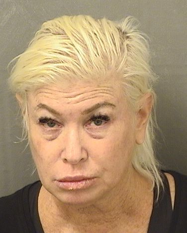  FAYE HANNAH DAREFF Results from Palm Beach County Florida for  FAYE HANNAH DAREFF