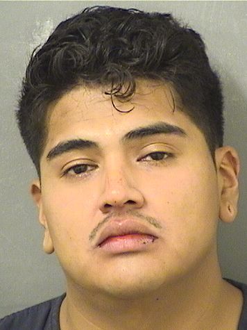  EDWIN JOSUE PARADA Results from Palm Beach County Florida for  EDWIN JOSUE PARADA