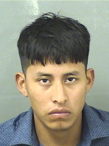  HENRY ENRIQUE TRIGUEROSBERDUO Results from Palm Beach County Florida for  HENRY ENRIQUE TRIGUEROSBERDUO