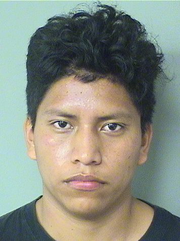  RODIS LEONEL LOPEZDOMINGO Results from Palm Beach County Florida for  RODIS LEONEL LOPEZDOMINGO