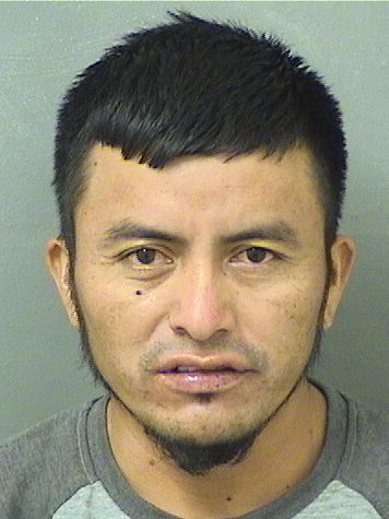  AROLDO EFRAIN GABRIELDOGINEZ Results from Palm Beach County Florida for  AROLDO EFRAIN GABRIELDOGINEZ