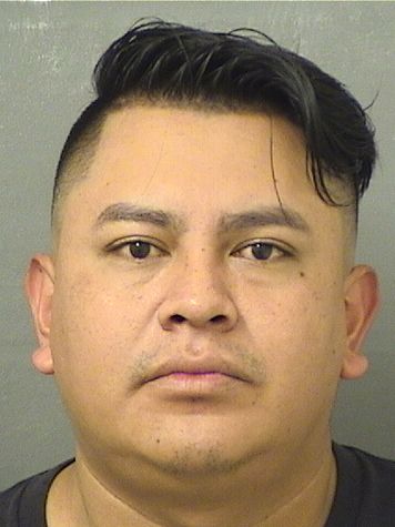  DANIEL DOMINGO BARRIOS JIMENEZ Results from Palm Beach County Florida for  DANIEL DOMINGO BARRIOS JIMENEZ