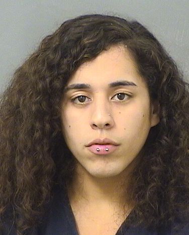  MAMOUD BASSAM KARAGEH Results from Palm Beach County Florida for  MAMOUD BASSAM KARAGEH