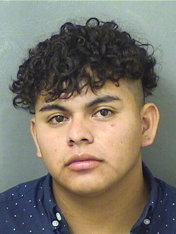  MATEO HENDRYADRIAN SILVESTREHERNANDEZ Results from Palm Beach County Florida for  MATEO HENDRYADRIAN SILVESTREHERNANDEZ
