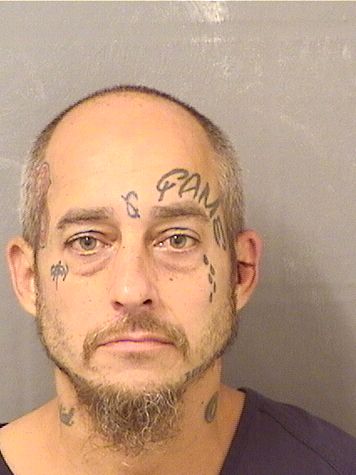  FRANCISCO FEBLES Photo