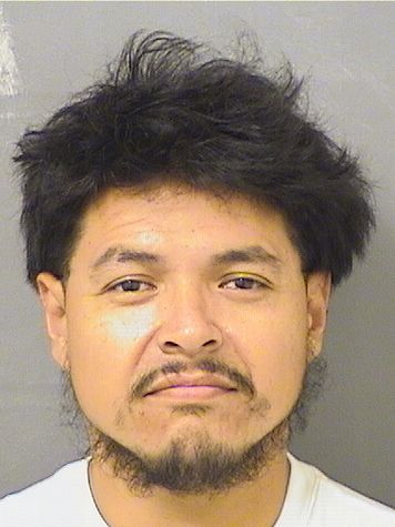  ADALBERTO JAIMES Results from Palm Beach County Florida for  ADALBERTO JAIMES