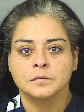  SHIRLEY JOHANNA SUAREZ Results from Palm Beach County Florida for  SHIRLEY JOHANNA SUAREZ