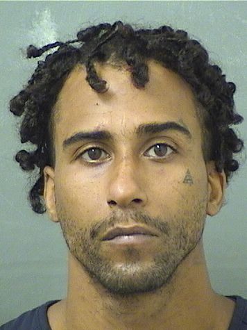  DAVID EVERETTE BARNES Results from Palm Beach County Florida for  DAVID EVERETTE BARNES