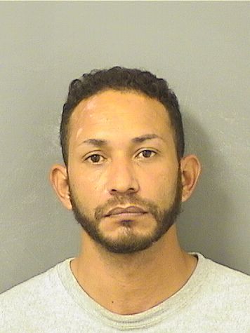  VICTOR MIGUEL VILLAREAL Results from Palm Beach County Florida for  VICTOR MIGUEL VILLAREAL