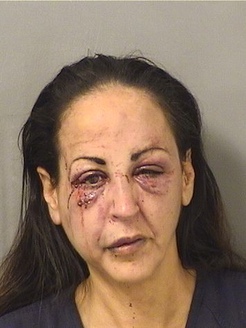  ANELLE MILVIA HERNANDEZ Results from Palm Beach County Florida for  ANELLE MILVIA HERNANDEZ