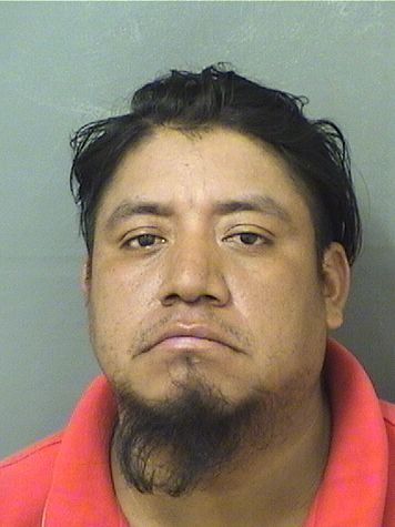  ALVARO BERDUORODRIGUEZ Photo For  ALVARO BERDUORODRIGUEZ