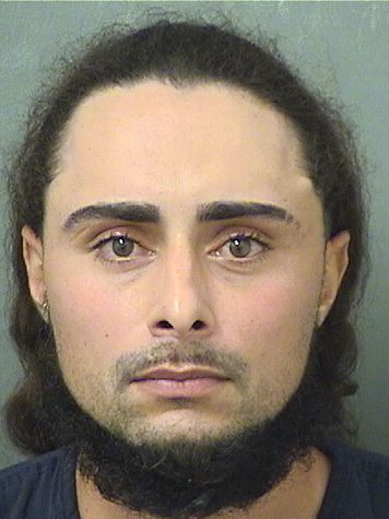  MICHAEL ALAIN ROY Results from Palm Beach County Florida for  MICHAEL ALAIN ROY