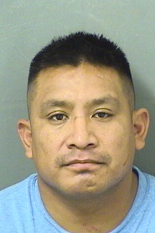  FRANCISCO TOMASJOSE Results from Palm Beach County Florida for  FRANCISCO TOMASJOSE