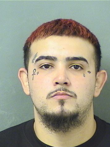  CHRISTOPHER M HERNANDEZ Photo