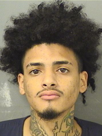  JUSTIN DARNNELL FELDER Results from Palm Beach County Florida for  JUSTIN DARNNELL FELDER