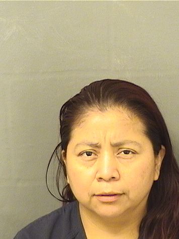  VERONICA RAMIREZ Results from Palm Beach County Florida for  VERONICA RAMIREZ