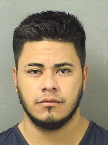  WALTER ALBERTO GARCIACALIX Results from Palm Beach County Florida for  WALTER ALBERTO GARCIACALIX