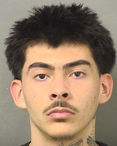  SERGIO SANCHEZ Results from Palm Beach County Florida for  SERGIO SANCHEZ