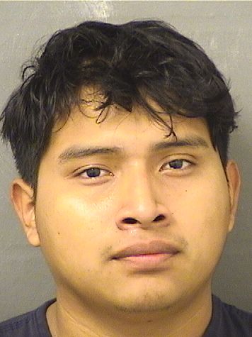 TOMAS TOMASLORENZO Results from Palm Beach County Florida for TOMAS TOMASLORENZO TOMAS TOMASLORENZO Results from Palm Beach County Florida for TOMAS TOMASLORENZO