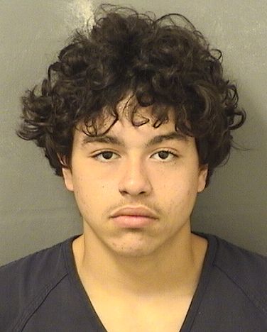  GERMAN ISSIAH DEJESUS Results from Palm Beach County Florida for  GERMAN ISSIAH DEJESUS