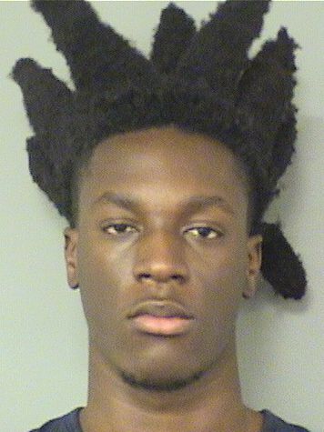  ERNSEAU THELEMARC Photo