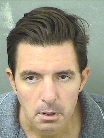  MICHAEL THOMAS SAVAGE Results from Palm Beach County Florida for  MICHAEL THOMAS SAVAGE