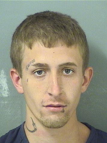  ROBERT HAROLD Jr TIPPETT Resultados de la busqueda para Palm Beach County Florida para  ROBERT HAROLD Jr TIPPETT