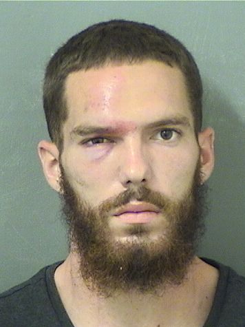  JOSE A CASTRO Results from Palm Beach County Florida for  JOSE A CASTRO