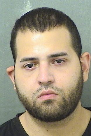  MICHAEL DEAN MARCHENA Results from Palm Beach County Florida for  MICHAEL DEAN MARCHENA