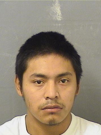  DOMINGO BRITOHERRERAHERNANDEZ Results from Palm Beach County Florida for  DOMINGO BRITOHERRERAHERNANDEZ