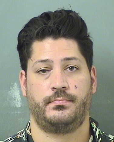  PAL JOHAN SKAAR Results from Palm Beach County Florida for  PAL JOHAN SKAAR