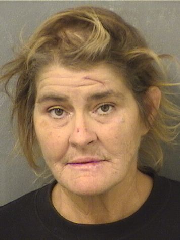  JANE IRMAMARY BELANGERTRONGONE Results from Palm Beach County Florida for  JANE IRMAMARY BELANGERTRONGONE