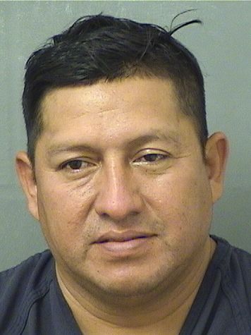 SILVERIO MISAEL MOMOTIC resultados de la busqueda para Palm Beach County Florida para SILVERIO MISAEL MOMOTIC SILVERIO MISAEL MOMOTIC Resultados de la busqueda para Palm Beach County Florida para SILVERIO MISAEL MOMOTIC