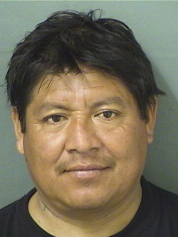  JAUN FILBERTO AGTUNMENDEZ Results from Palm Beach County Florida for  JAUN FILBERTO AGTUNMENDEZ