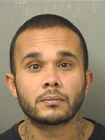  MICHAEL E LEE Results from Palm Beach County Florida for  MICHAEL E LEE