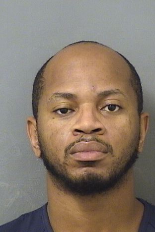  DESMOND D DYKE Results from Palm Beach County Florida for  DESMOND D DYKE